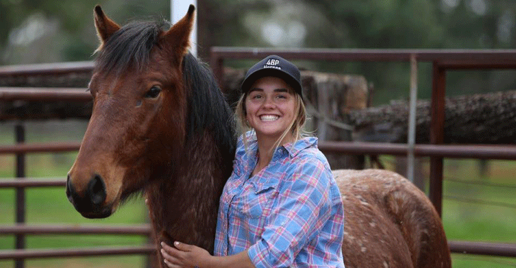 Saving the Snowy's Brumbies  image