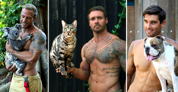 Australian Firefighters Calendar - fundraising for Animals image