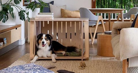 Crate training for dogs