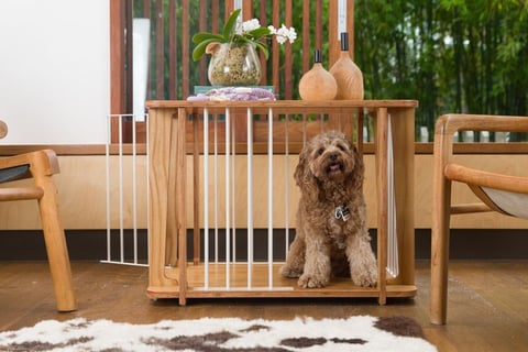 Archie Dog Crate