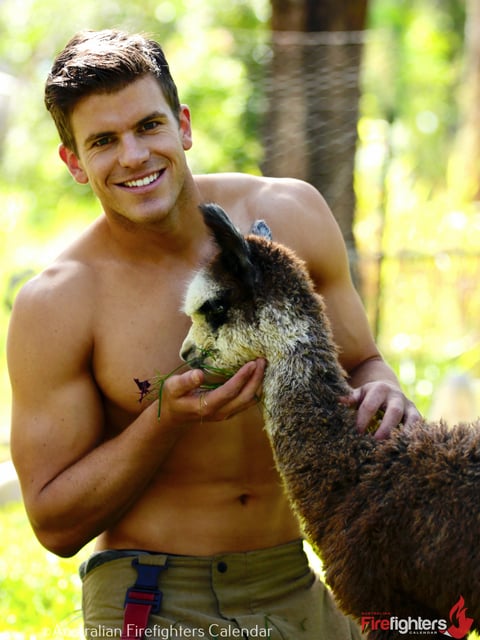 Australian Firefighter Calendar - Animals